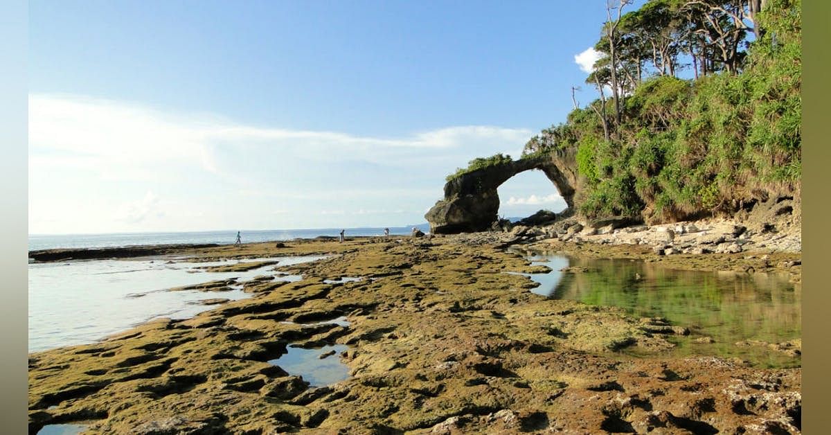 blog-images