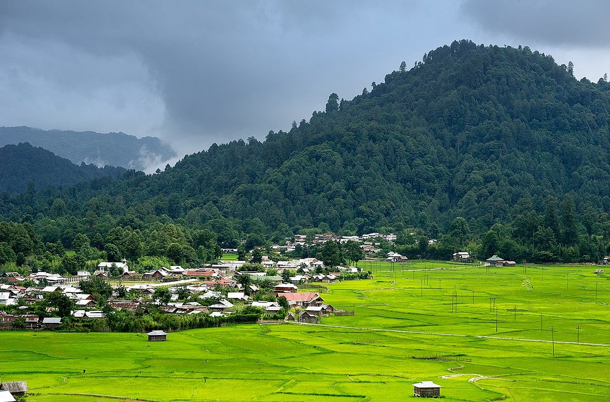 blog-images