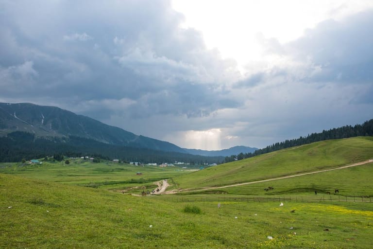 places-to-visit-in-pulwama