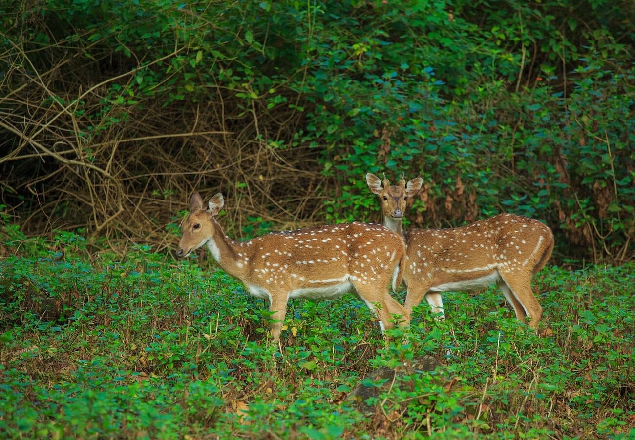 blog-images