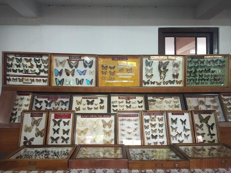 blog-images