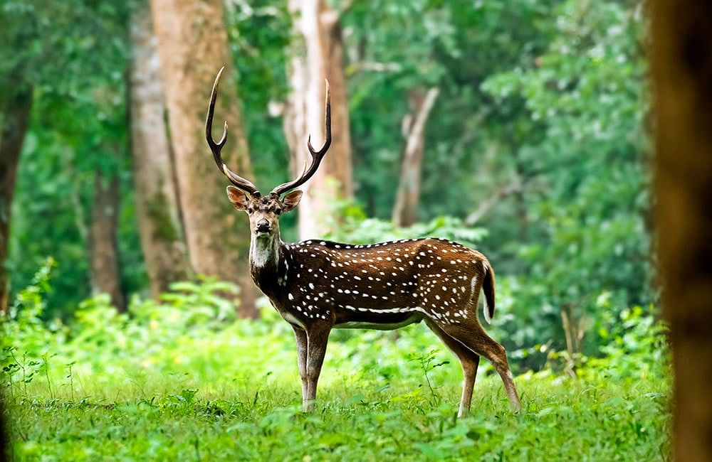 blog-images