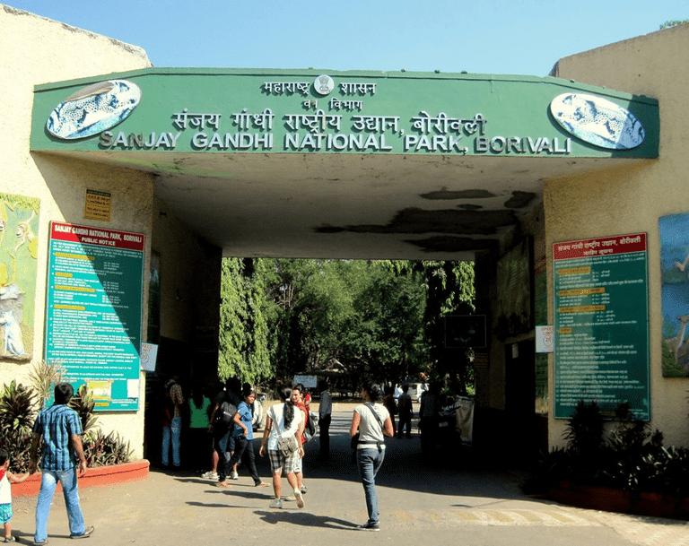 sanjay-gandhi-national-park