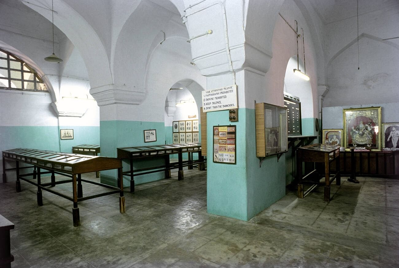 blog-images