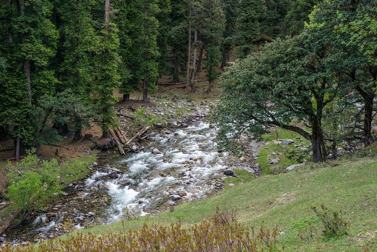 blog-images