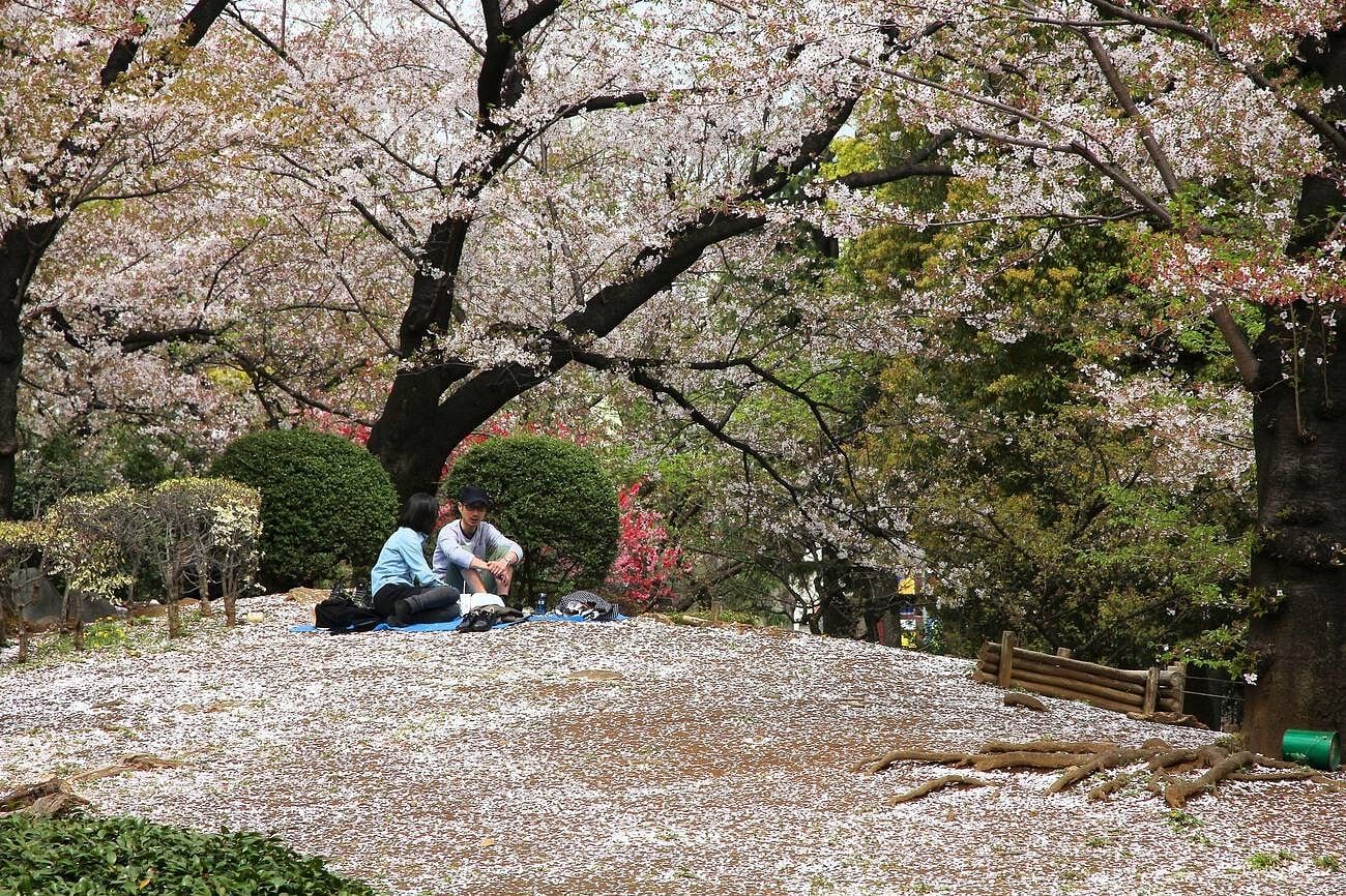 blog-images