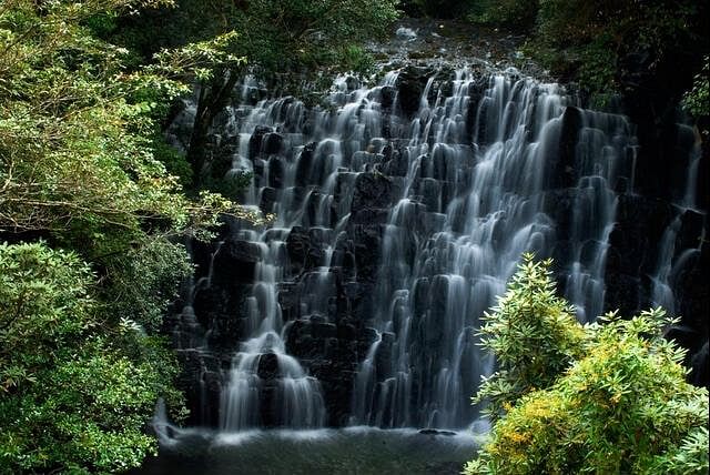 blog-images