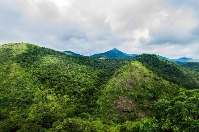 silent-valley-in-kerala
