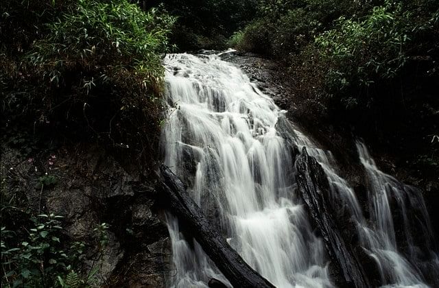 blog-images