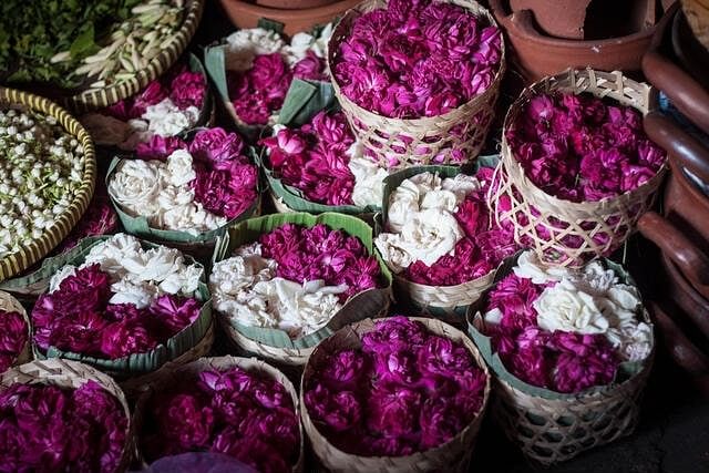 sivaganga-flower-festival