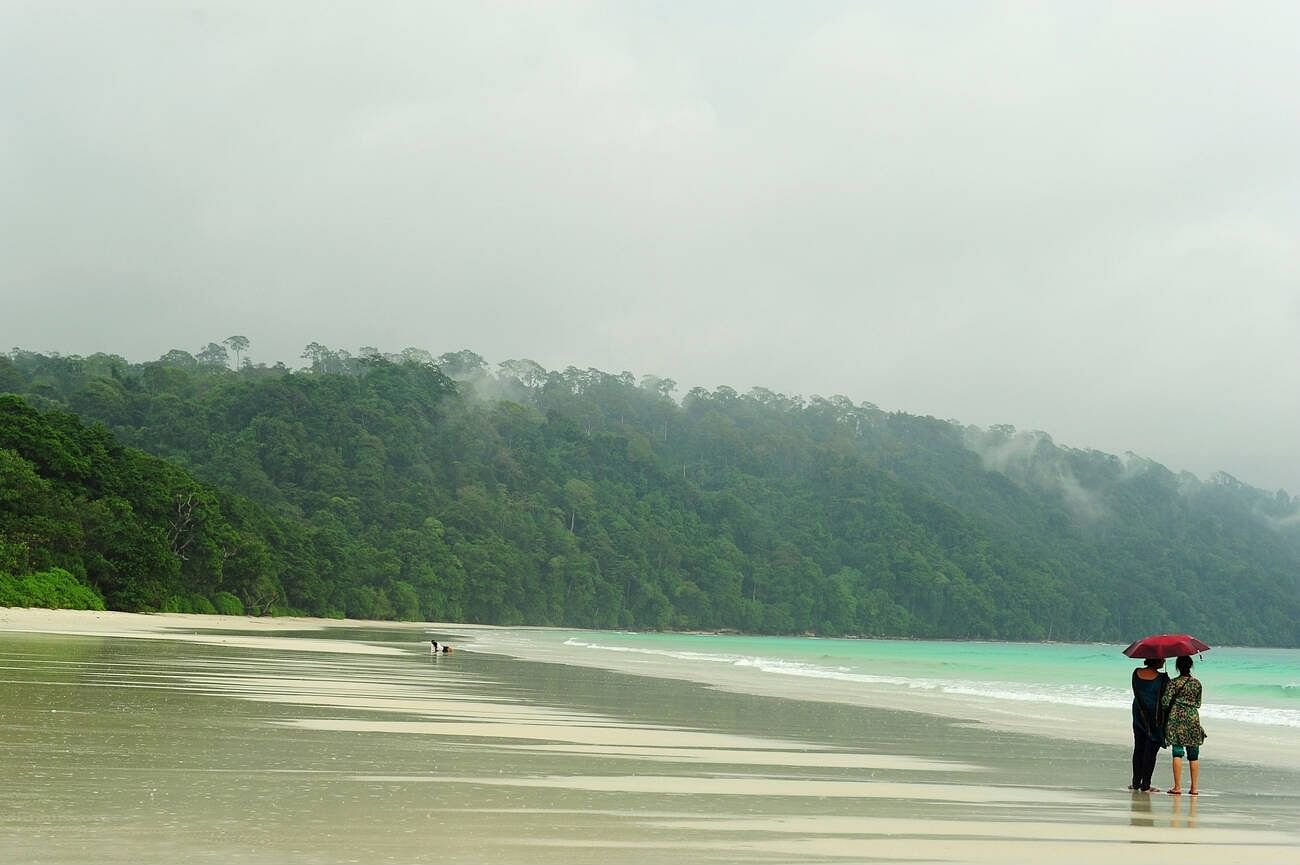 blog-images