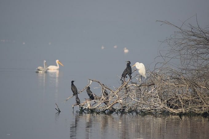 blog-images