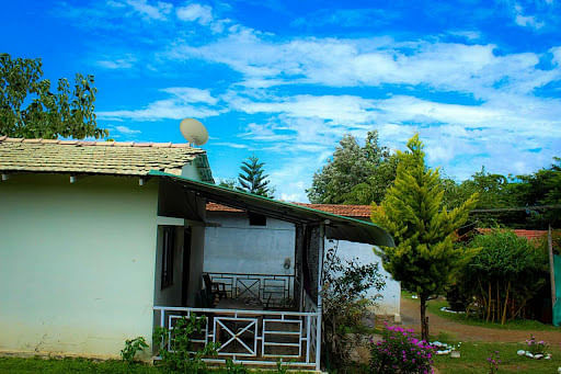 blog-images