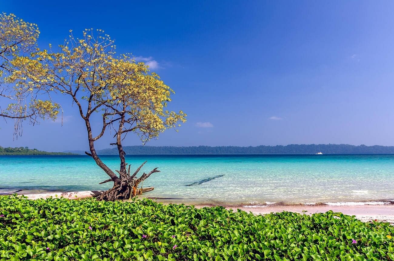 travel-tips-for-havelock-island