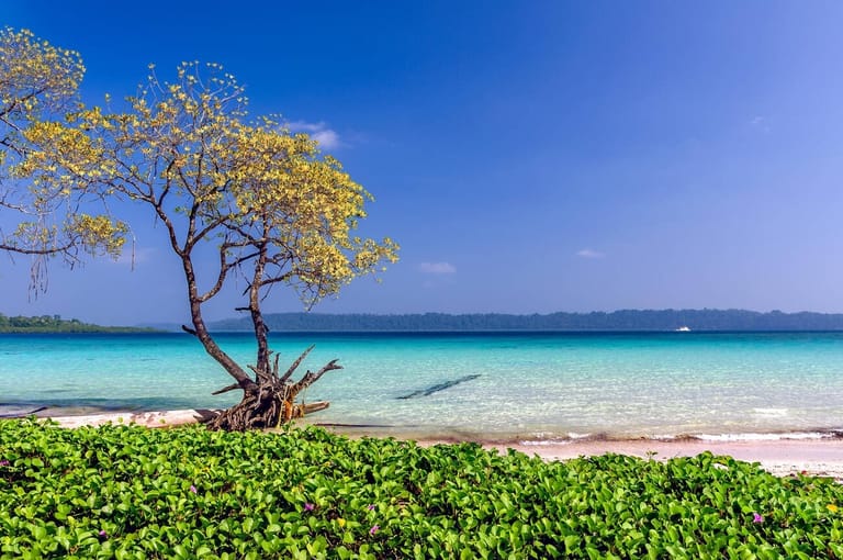travel-tips-for-havelock-island