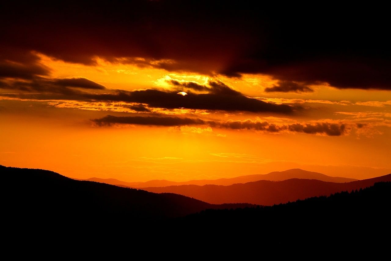 blog-images