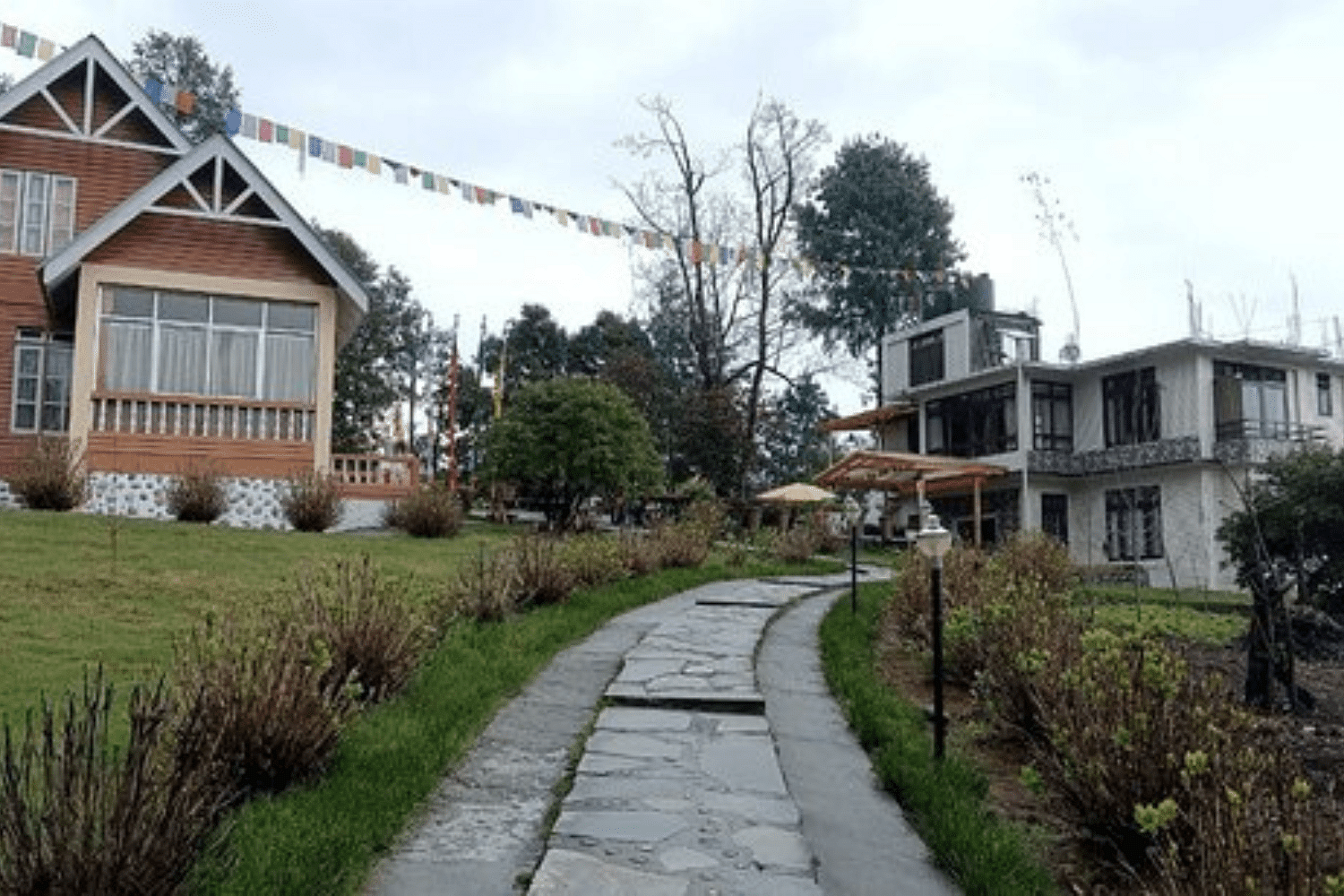 blog-images