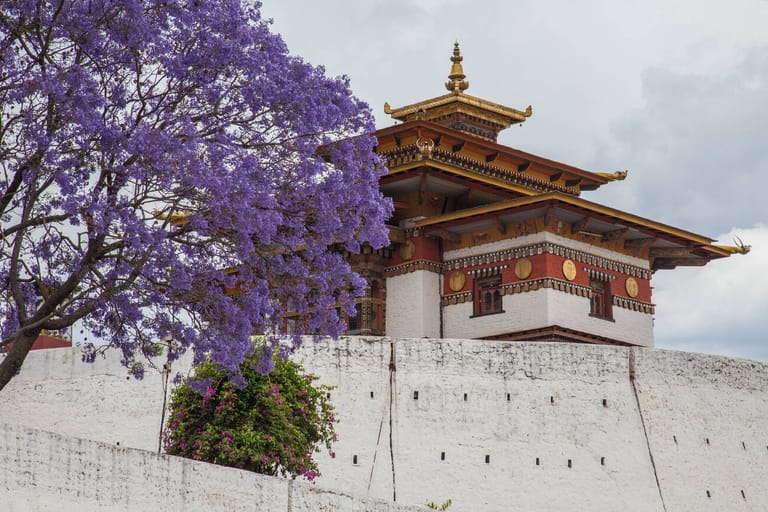 ura-yakchoe-festival