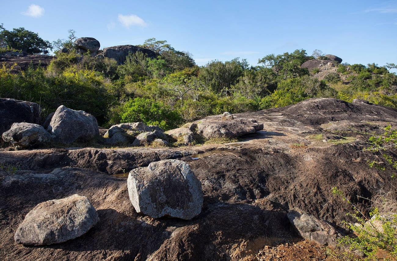 yala-national-park