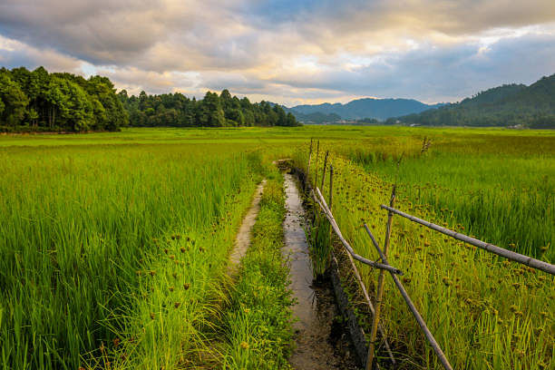 blog-images