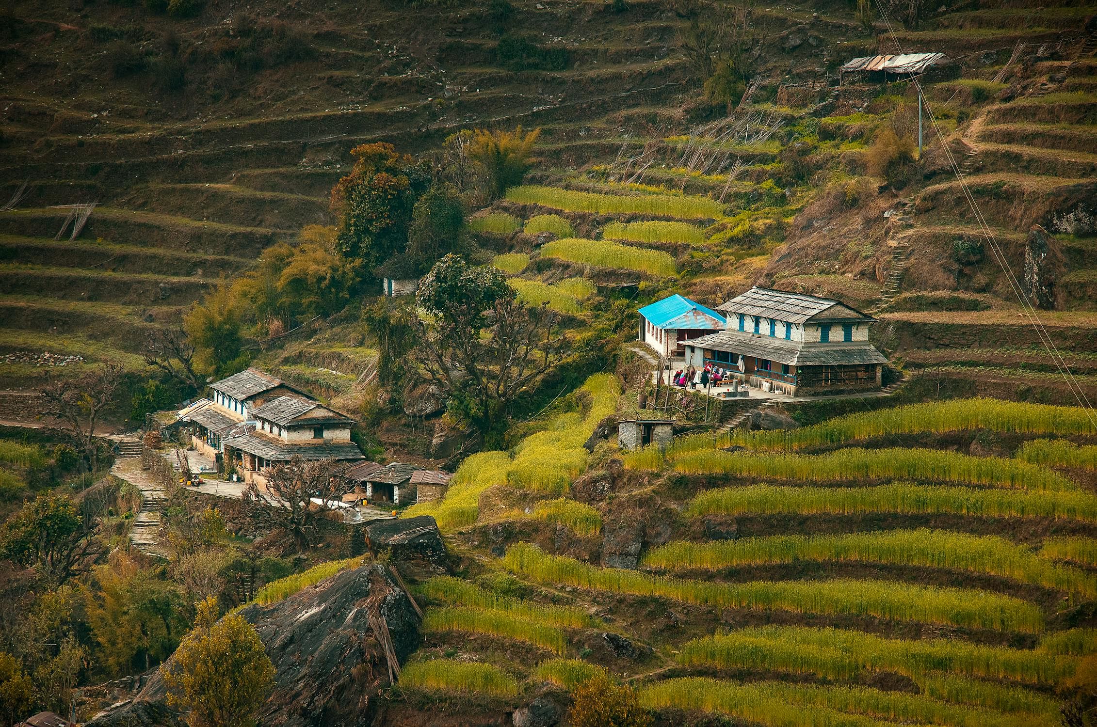 best-homestays-in-tirthan