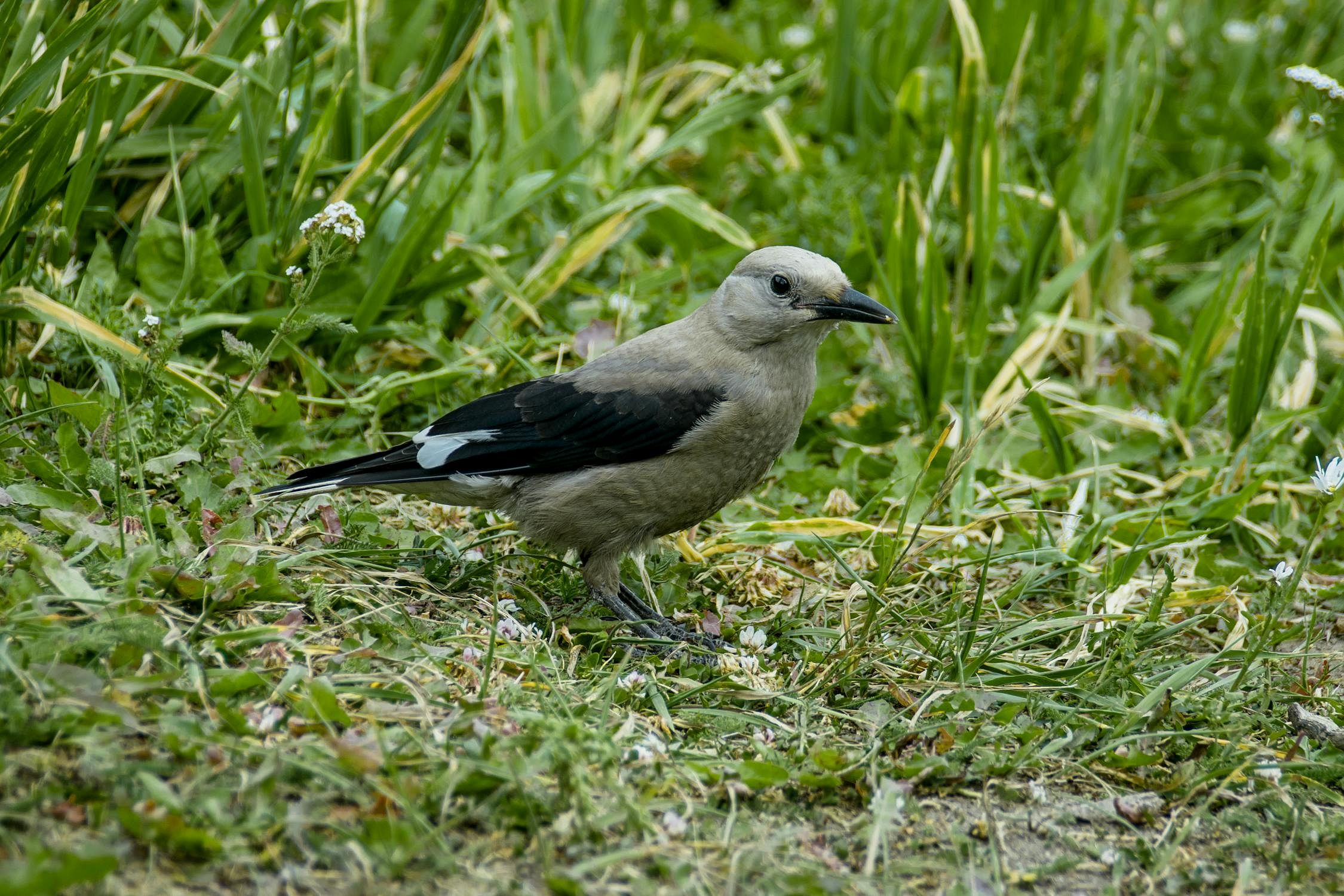 blog-images