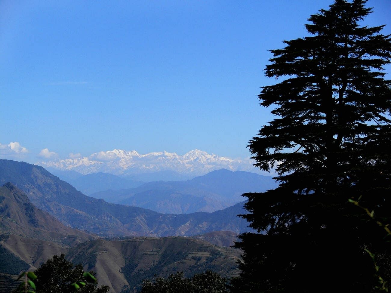 blog-images