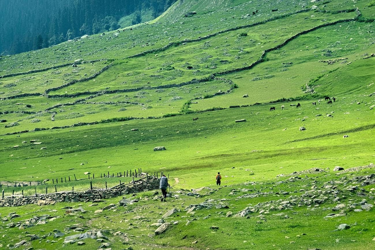blog-images