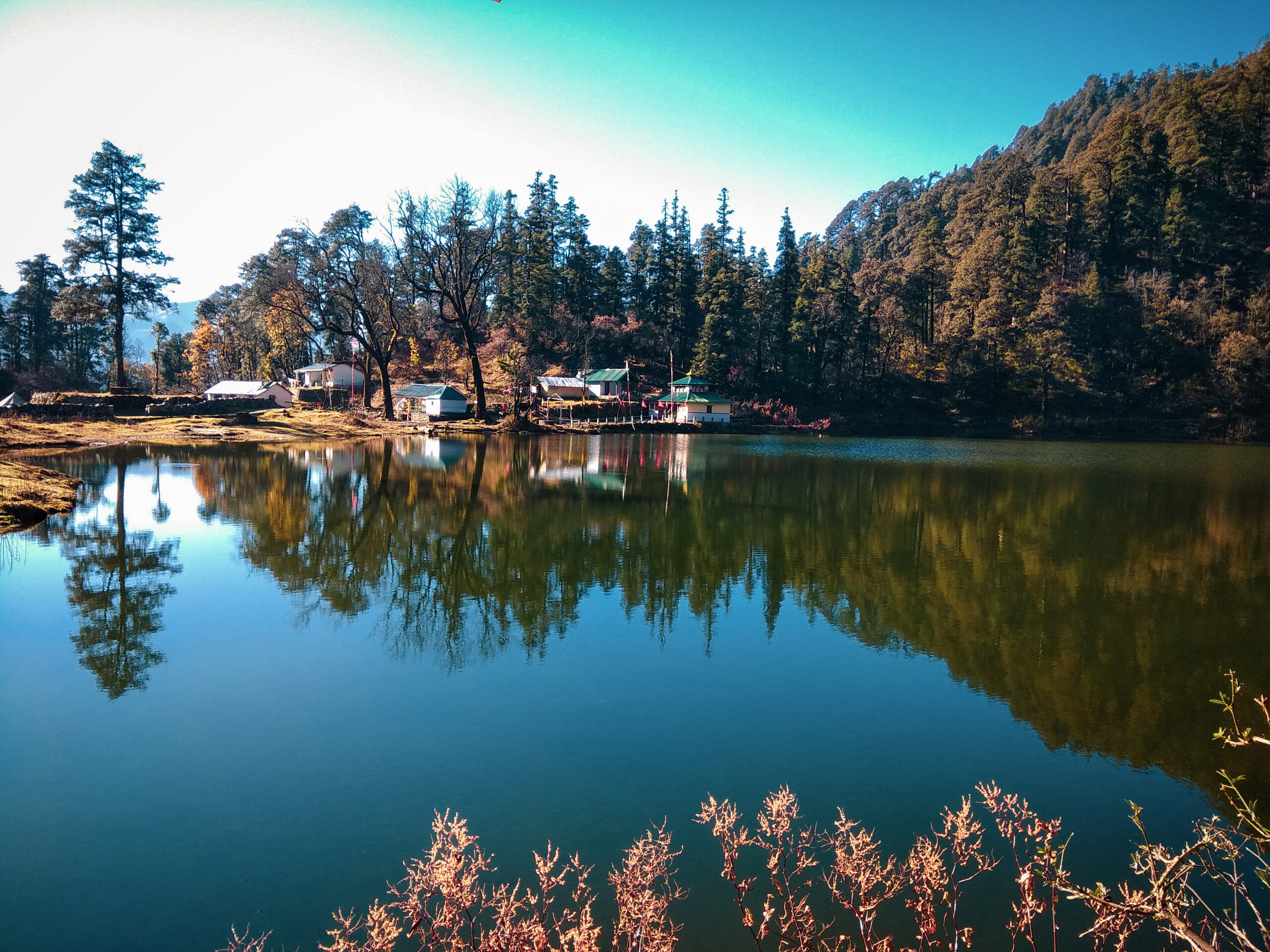 blog-images