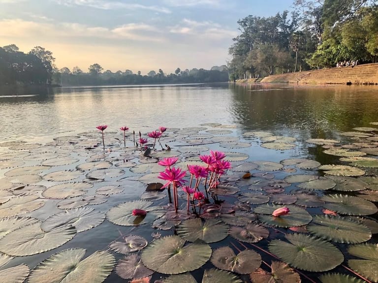 gulawat-lotus-valley