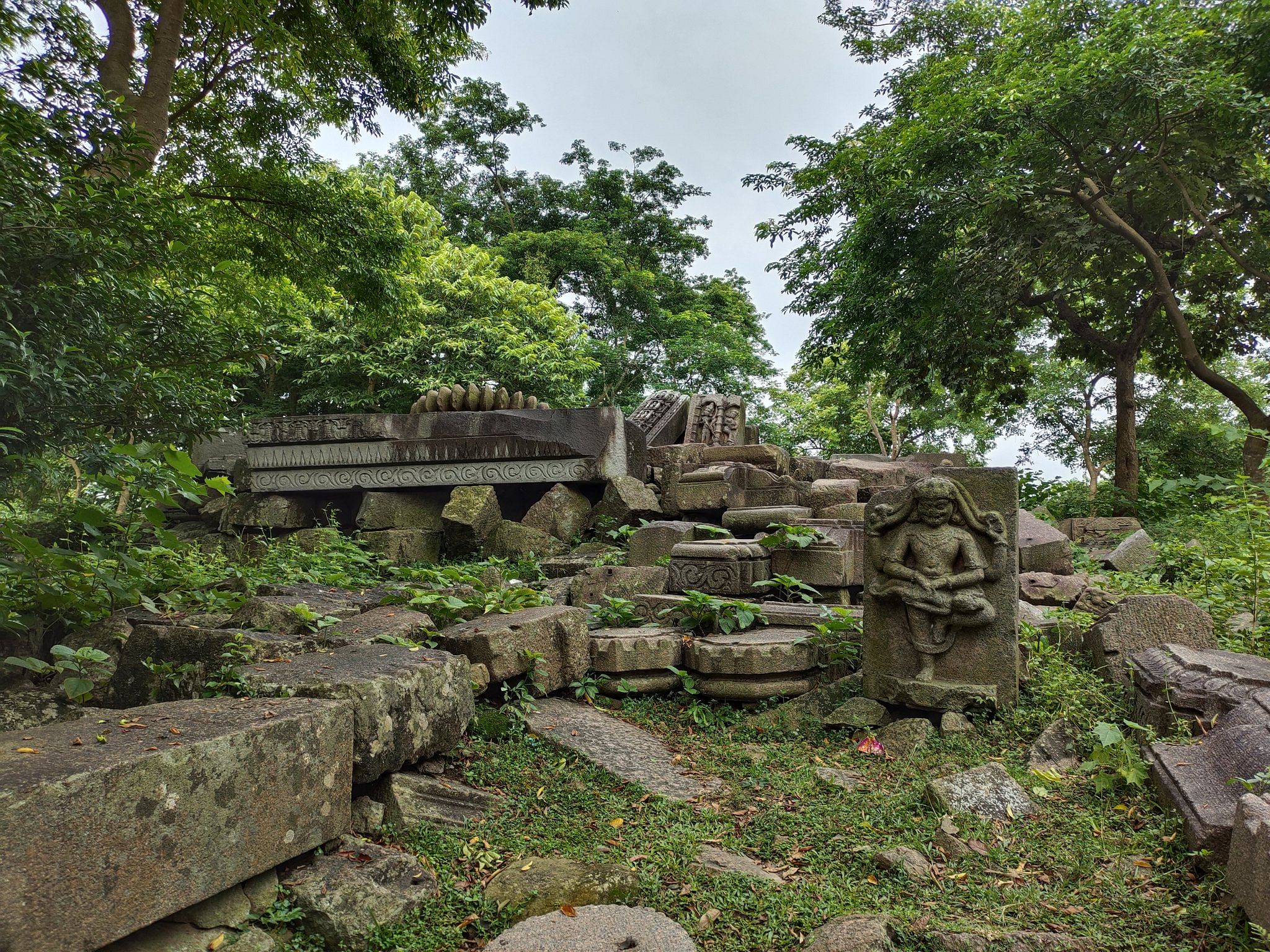 blog-images