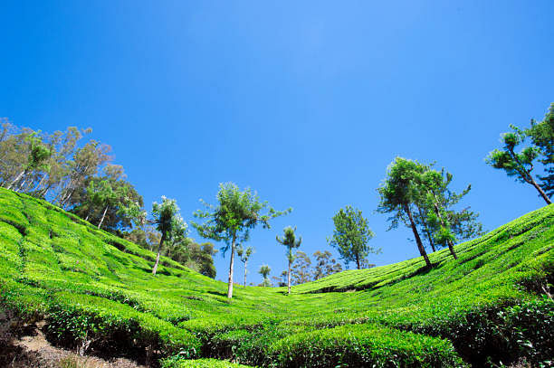 blog-images