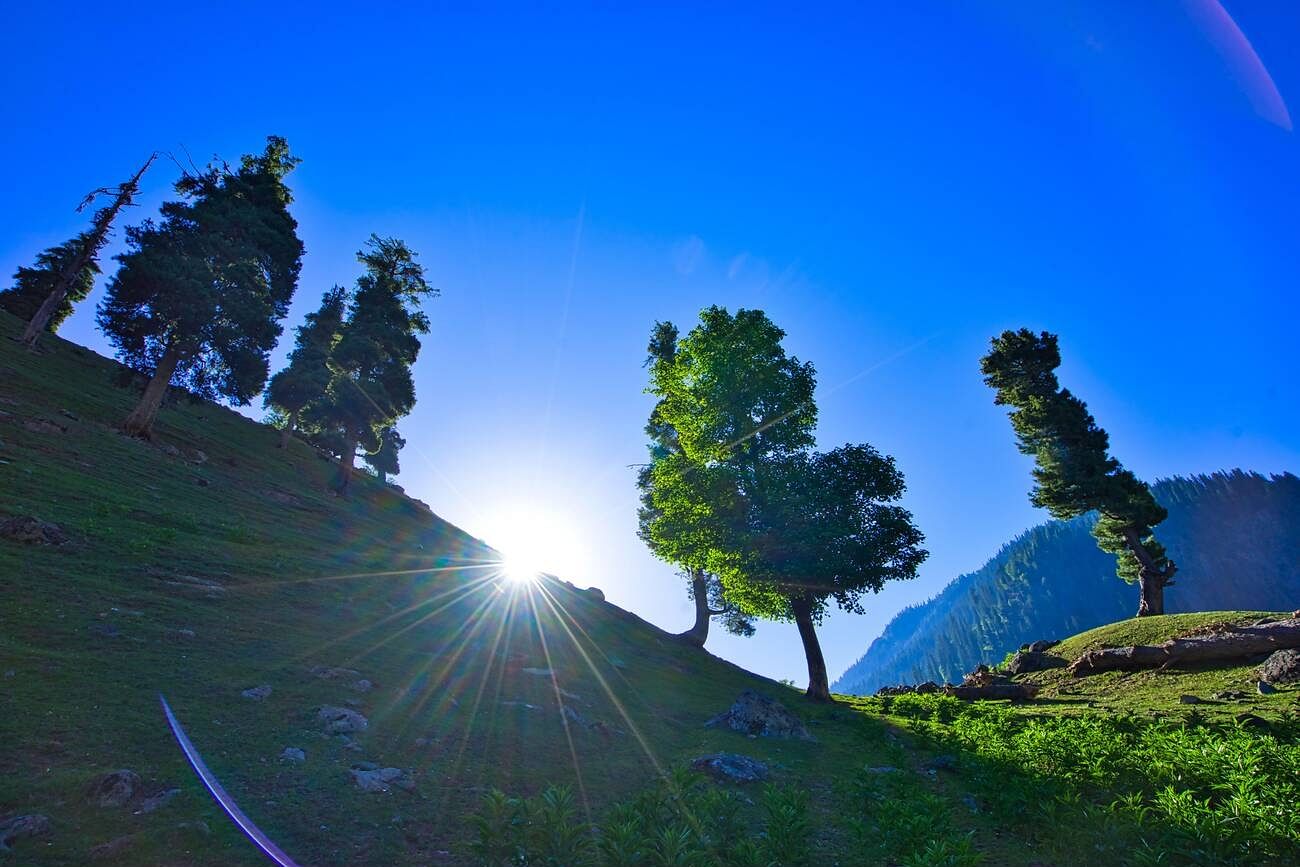 blog-images