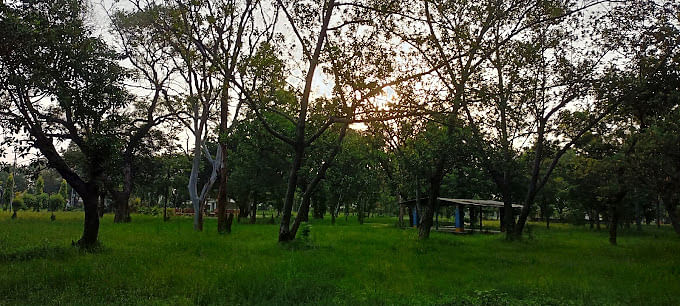 blog-images