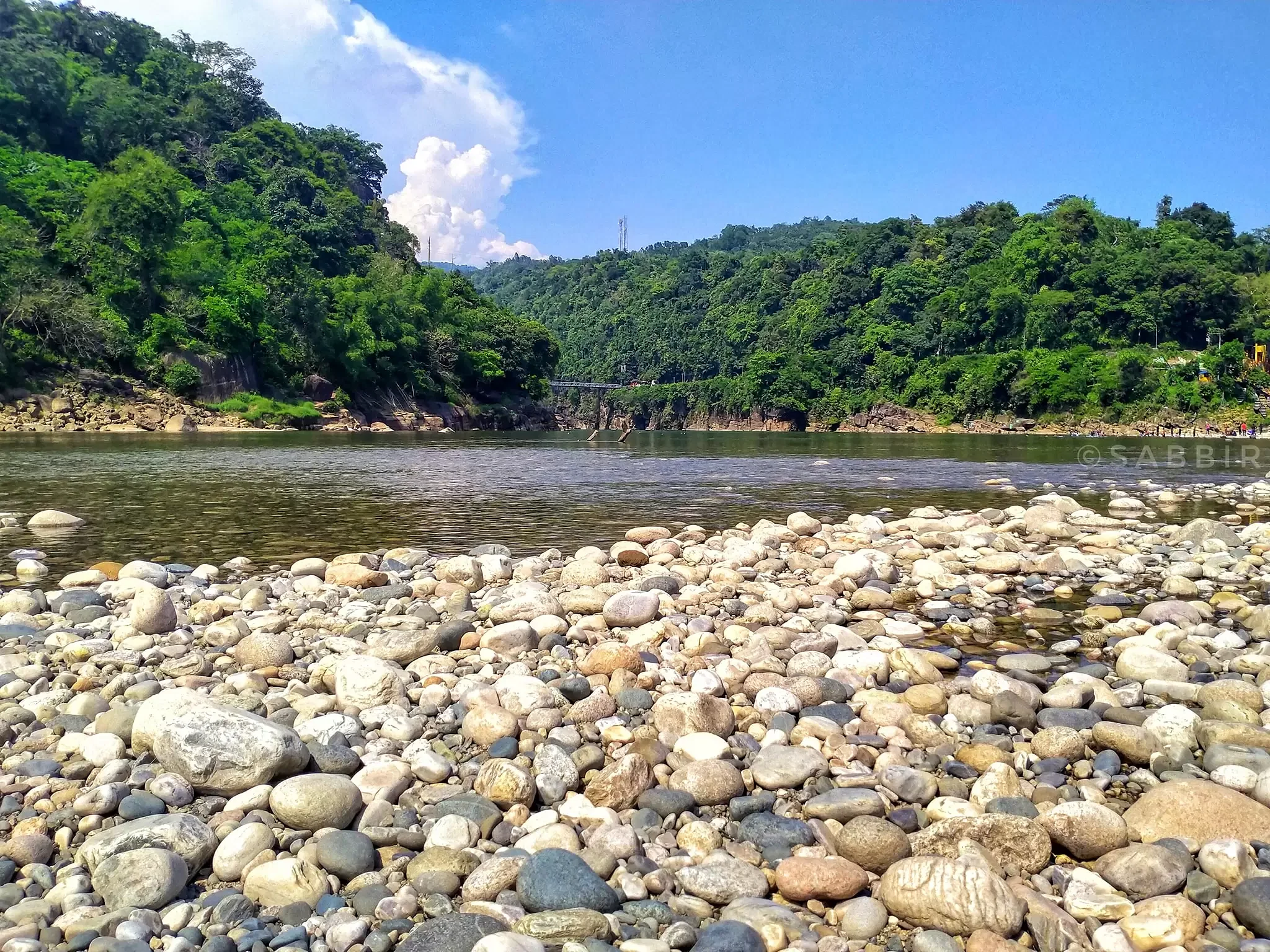 blog-images