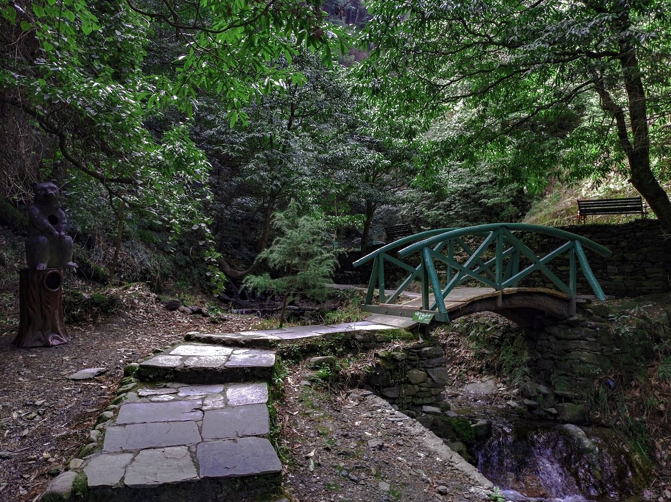 blog-images