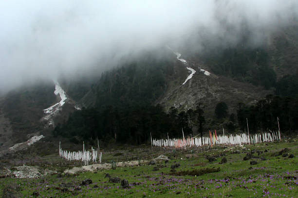 blog-images