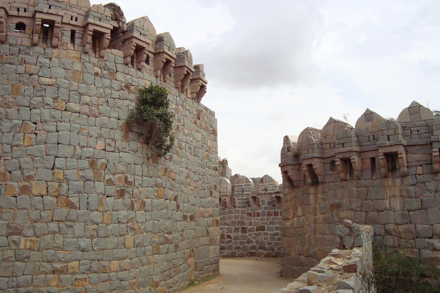 blog-images