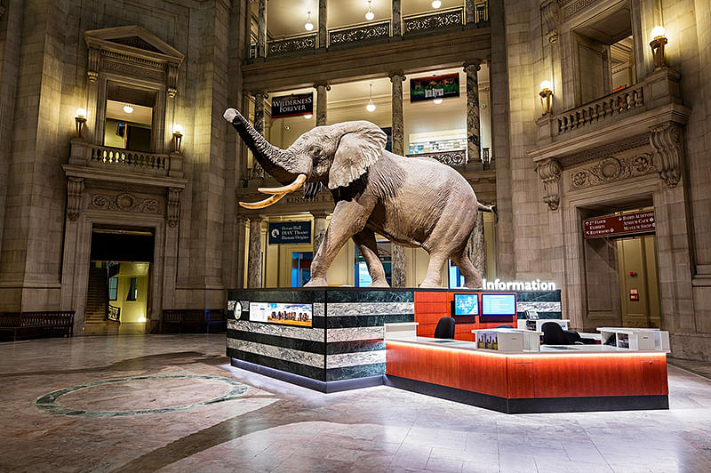 museums-in-delhi