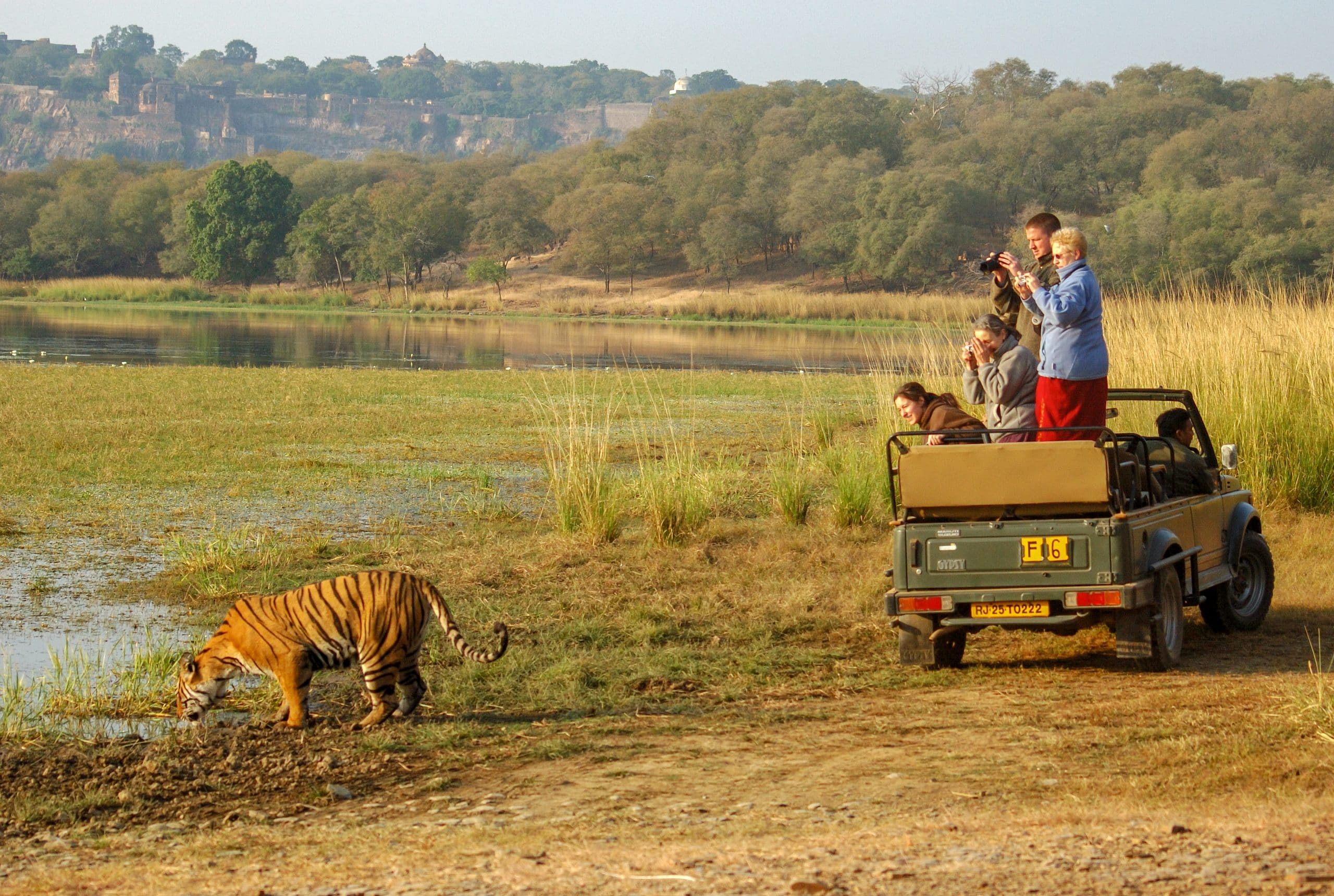 national-parks-in-rajasthan