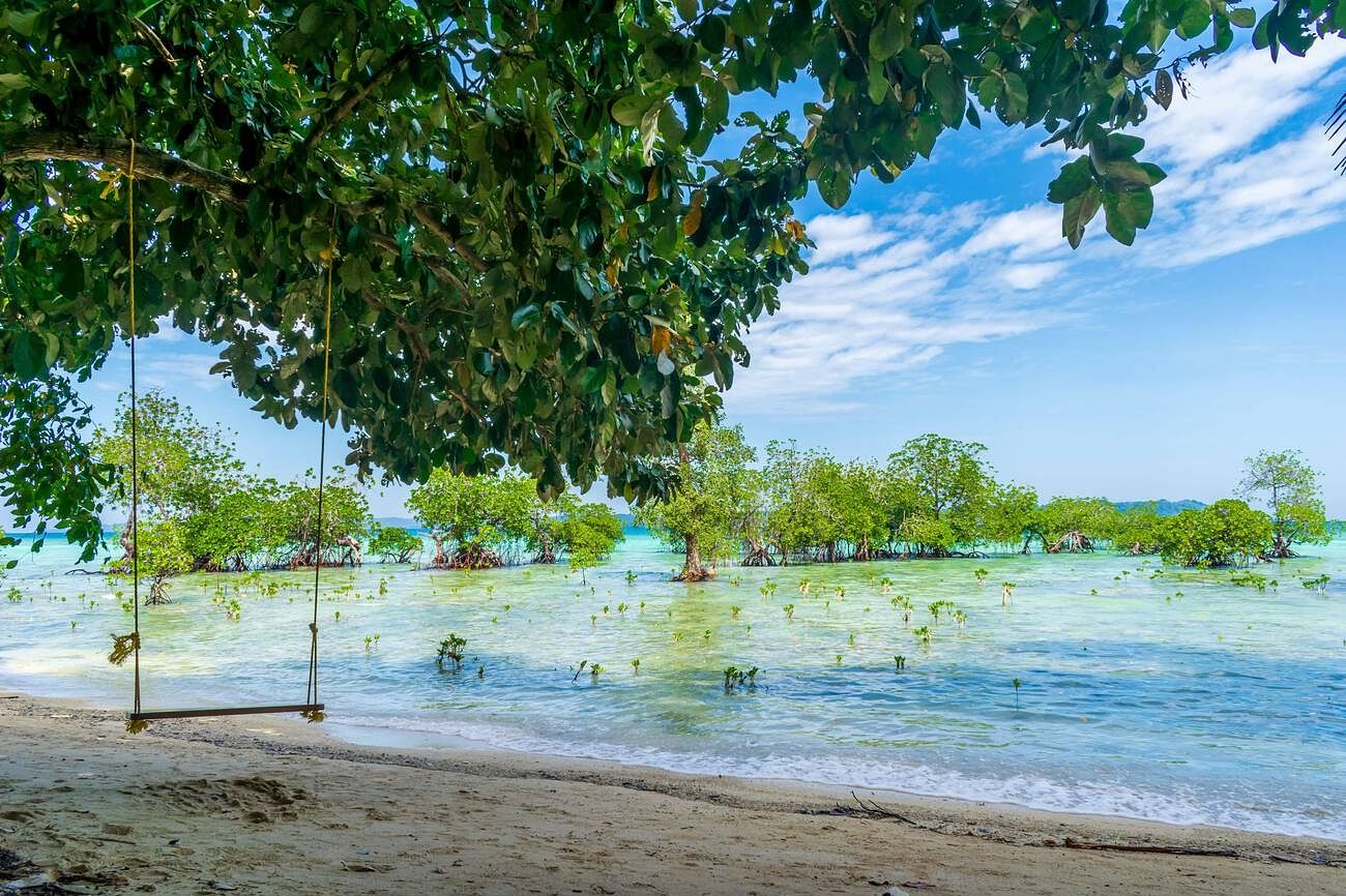 neil-island-andaman