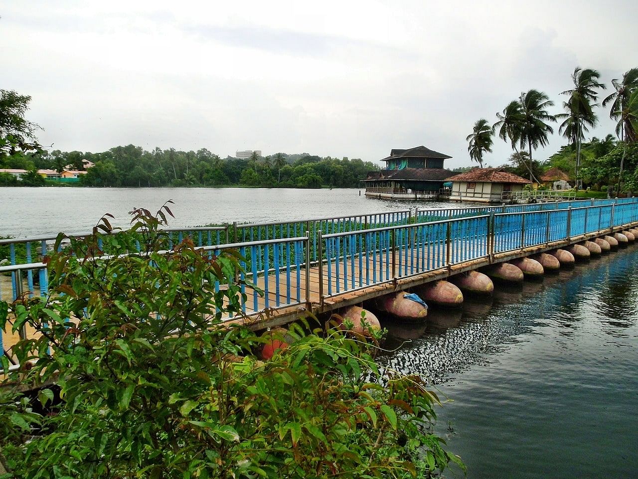 blog-images