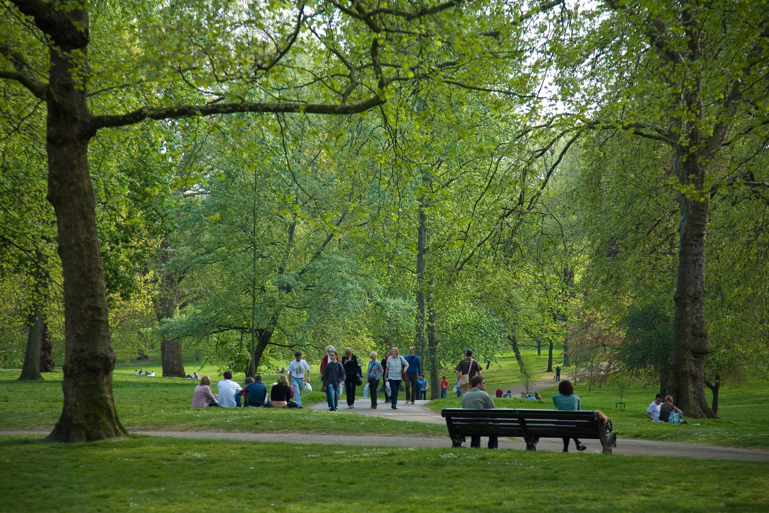blog-images