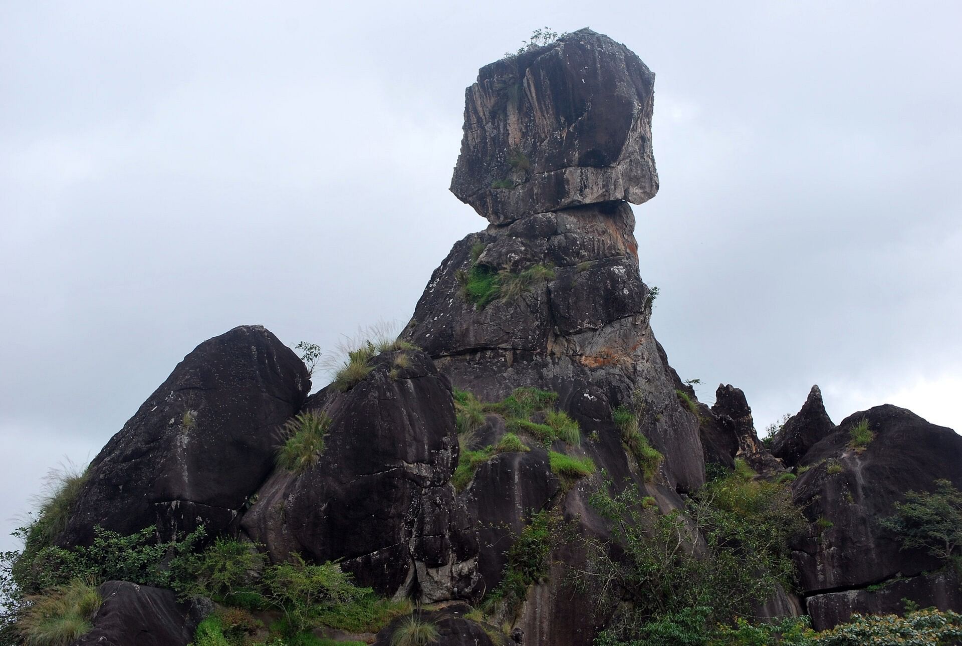 blog-images