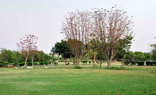 blog-images