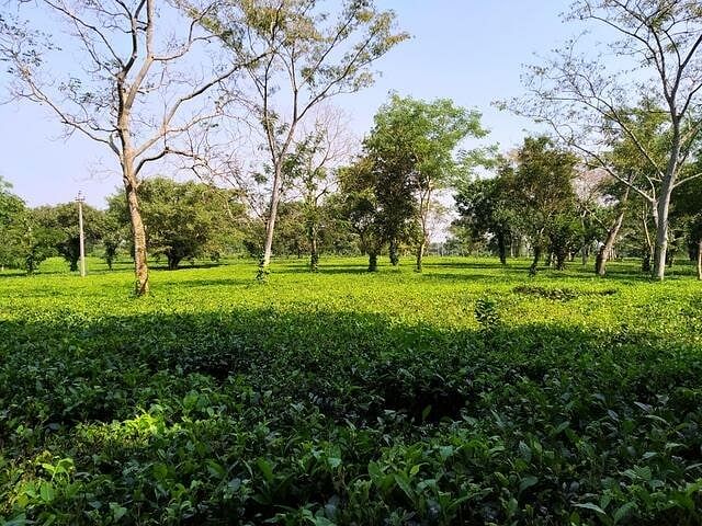 blog-images