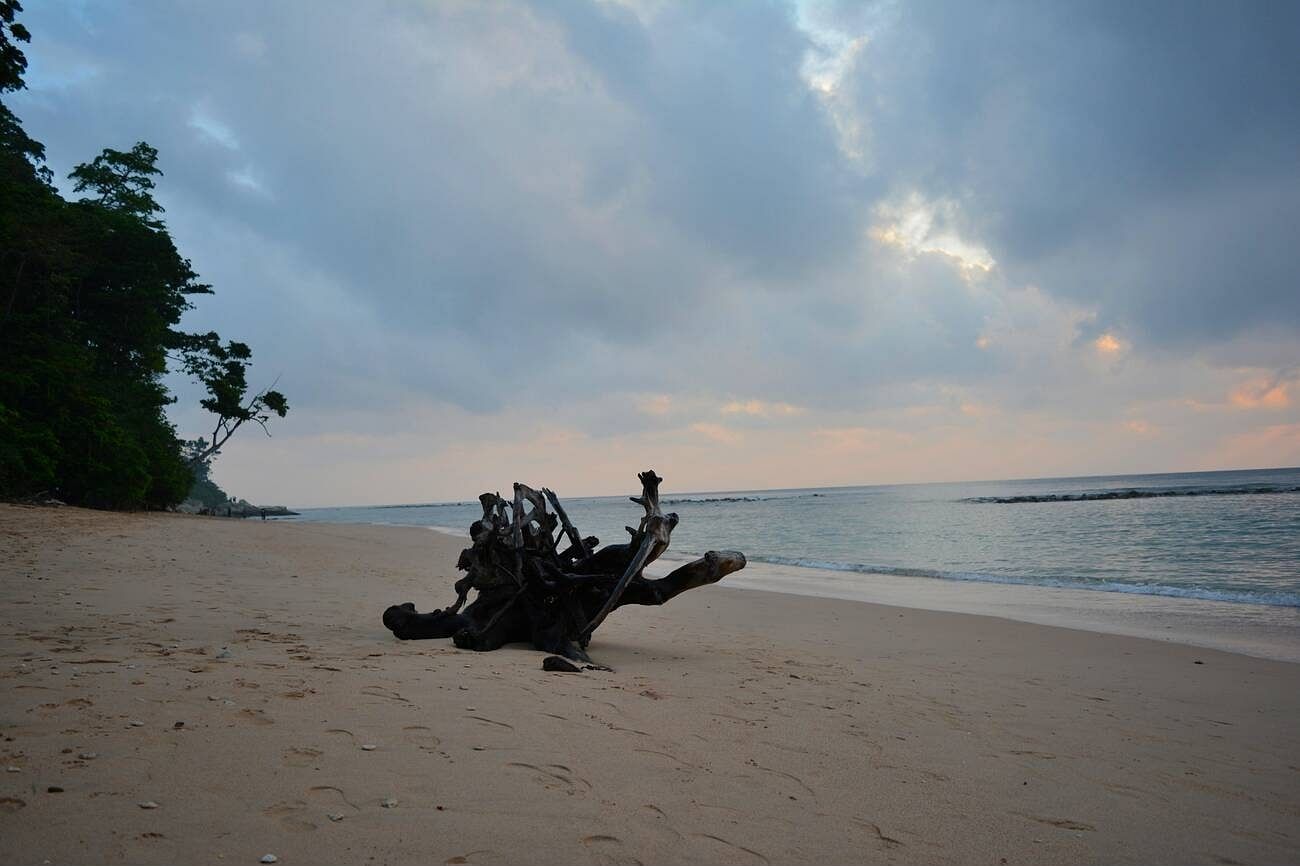 blog-images