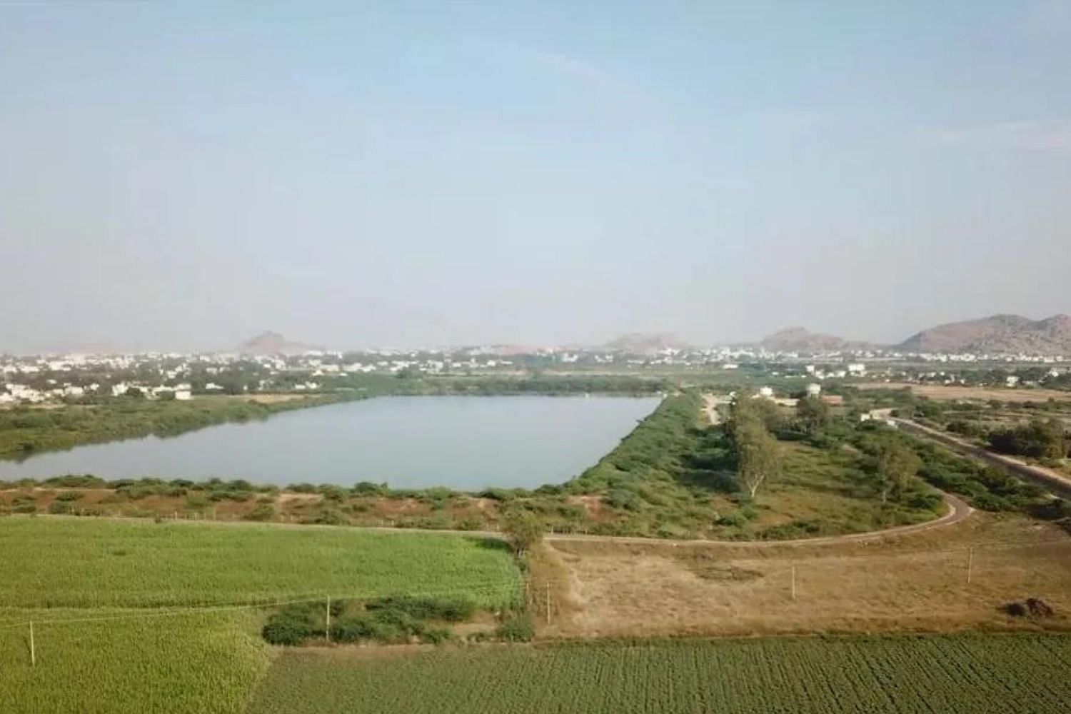 blog-images