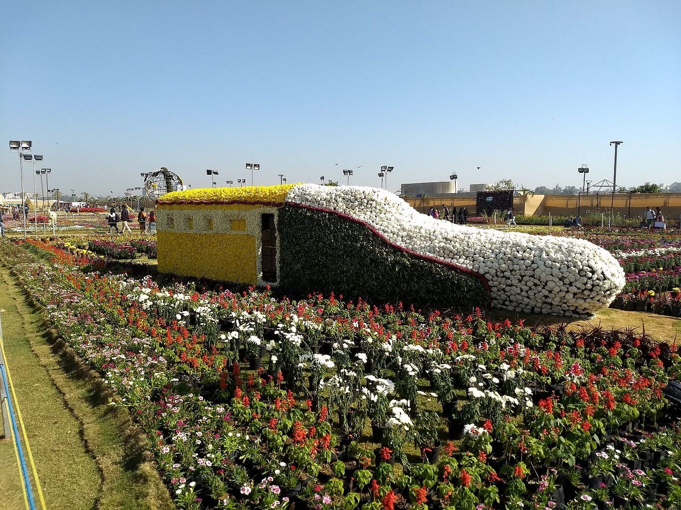 blog-images