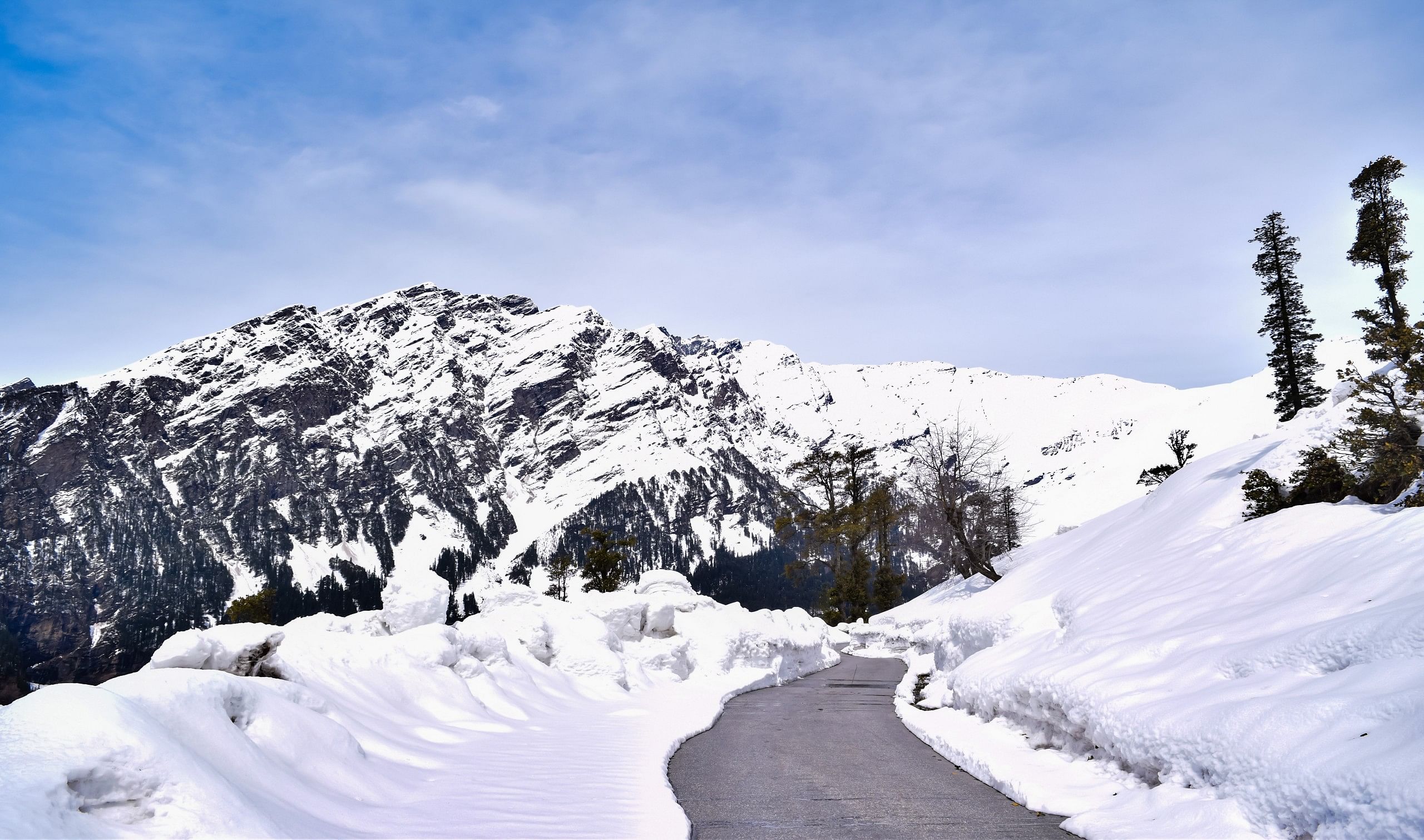 blog-images